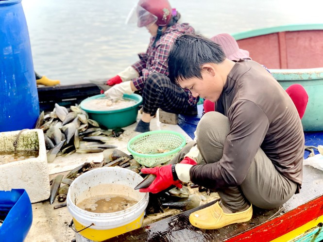##s###Theo người dân nơi đây, sò mai được đánh bắt từ tháng 6 đến tháng 9. Từ rạng sáng khoảng 3h, ngư dân đánh thuyền ra khơi đánh bắt cho đến 17h chiều thuyền sẽ cập bến tại cảng Cửa Sót.