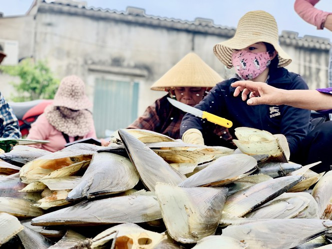 ##s###Sò mai (còn gọi là sò biên mai) thường nằm sâu dưới đáy biển ở vùng ngư trường cách bờ khoảng 5-7 hải lý. Thịt sò mai có thể chế biến những món ăn ngon như nướng mỡ hành, hấp, nấu cháo…