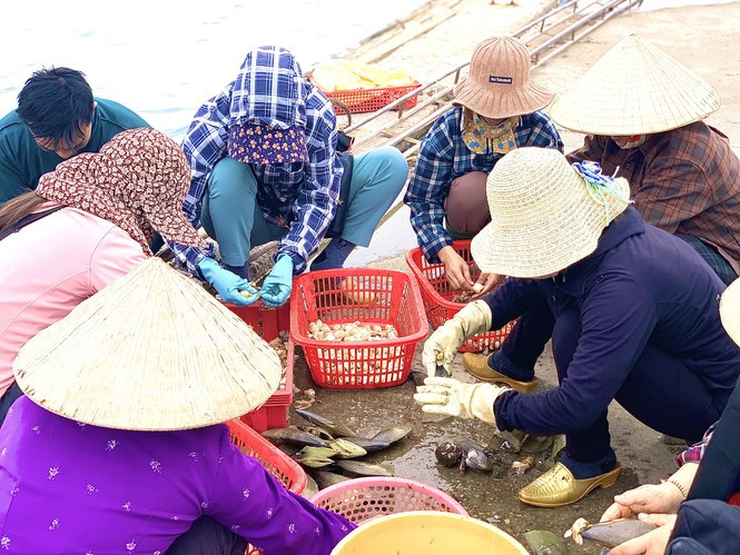 ##s### Dịp này, cứ đều đặn vào mỗi buổi chiều, người dân lại đổ ra cảng để chế biến sò mai. Nhiều gia đình có 2 - 3 người cùng làm, mỗi giờ cũng kiếm thêm được từ 50 -70 ngàn đồng.