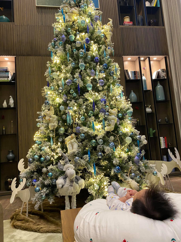 Để chào đón không khi giáng sinh, vợ chồng Đàm Thu Trang đã chọn một cây thông Noel lớn để đặt giữa phòng khách tạo không khí ấm cúng cho ngôi nhà.