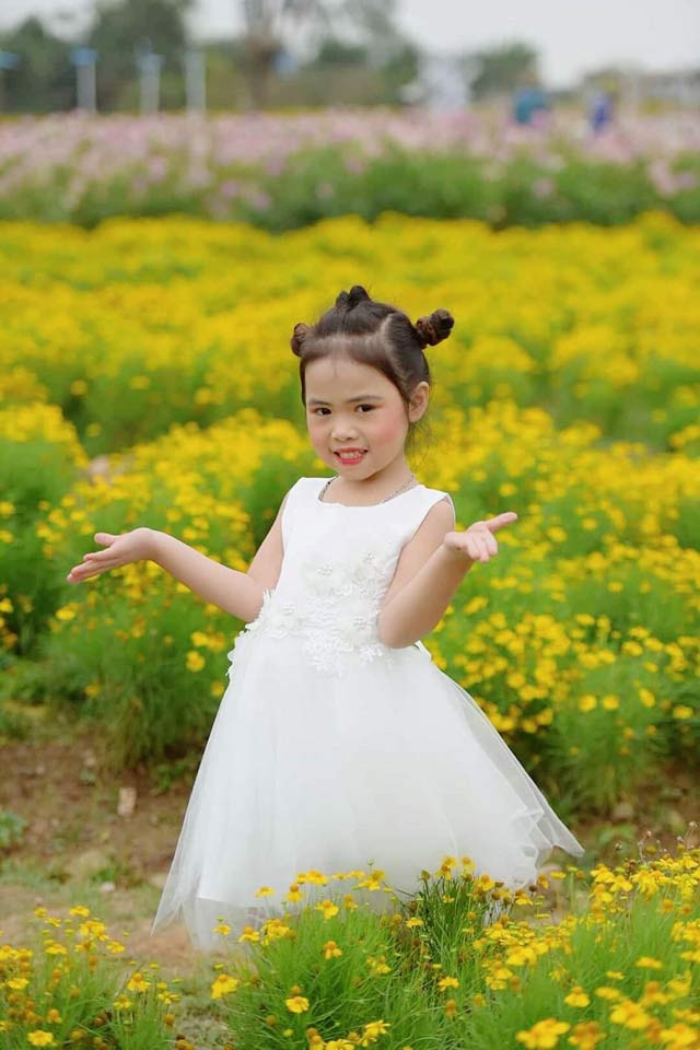 Bé Nguyễn Trần Minh Thư sinh ngày 19/1/2015, tên thường gọi là Nhím. Hiện đang học lớp Lion Trường Mầm non xứ sở diệu kỳ - Hà Nội. Là con một trong gia đình, bố mẹ không theo nghệ thuật nhưng Minh Thư lại rất đa tài và có nhiều năng khiếu đặc biệt. Cô bé có thể múa, diễn mẫu và là cây văn nghệ của trường. Minh Thư hiện đang tham gia học nhảy, múa tại CLB Hồng Anh. Cô bé thường xuyên xuất hiện trong nhiều chương trình lớn của trung ương và địa phương. Gương mặt xinh xắn, nụ cười dễ thương và sự tự tin trước ống kính giúp Minh Thư nhận được rất nhiều lời mời cộng tác chụp mẫu cho sản phẩm và thương hiệu thời trang. Ước mơ của Thư sau này sẽ trở thành một biên đạo múa hoặc một bác sĩ để chữa bệnh cho mọi người.
