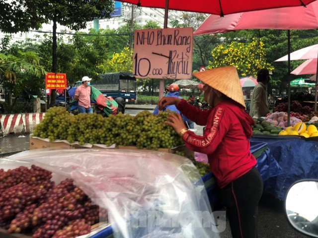 ##s###Nho Phan Rang giá 20.000 đồng/kg, trong khi năm ngoái, gia đình tôi xuống tận vườn mua khi đi du lịch thì cũng giá tầm mức này - chị Thơm (ngụ Q.6) chia sẻ.