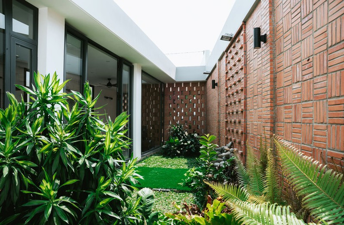 hu vườn trong khuôn viên nhà như lá phổi điều hòa không khí bên trong Small house.