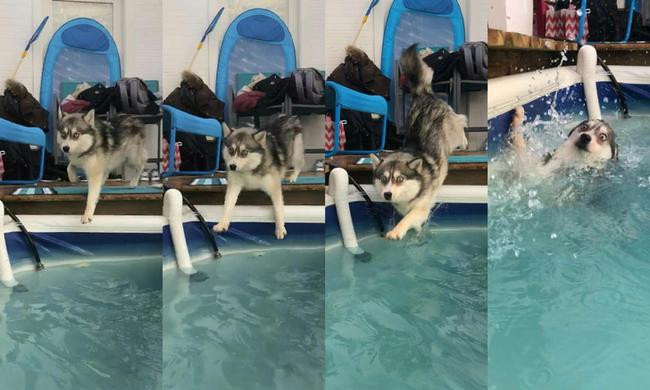ang diễn nét cool ngầu thì đùng một phát… Kịch bản này "anh" không hề ngờ tới.