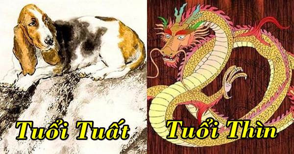 Thìn - Tuất. Thìn và Tuất là hai con giáp đối đầu trực diện nhau. Nếu sống chung, hai con giáp này có đạt được sự cảm thông và chia sẻ trong cuộc sống. Thìn mệnh Hỏa, Tuất mệnh Kim.