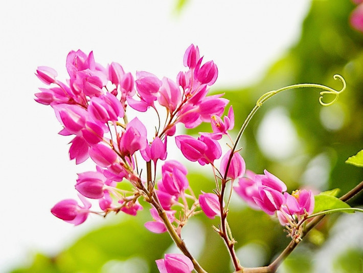Những người này hiếm khi bị ảnh hưởng tiêu cực bởi người khác. Họ can đảm, mạnh dạn và thích kết bạn. Cũng nhờ mạng lưới quan hệ tốt đẹp mà những người này sẽ phát triển thuận lợi, không ngừng tăng tốc.