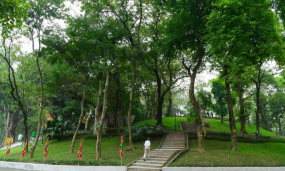 Núi Nùng hay còn gọi là Núi Sưa nằm trong công viên Bách Thảo, ngay gần lăng Chủ tịch Hồ Chí Minh (Ba Đình, Hà Nội). Trên ngọn núi này có khoảng 40 cây sưa đỏ hàng trăm năm tuổi.