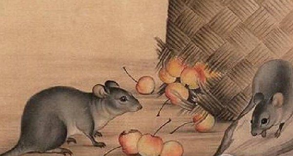 Tuổi Tý. Trong năm nay, những người làm ăn, làm chủ gặp khá nhiều biến động, thử thách xuất hiện nhiều hơn đòi hỏi bản lĩnh và tinh thần sẵn sàng chiến đấu.