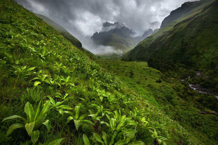 Nhiếp ảnh gia Carl Smorenburg là người đã chụp tác phẩm ấn tượng này tại Công viên Ukhahlamba-Drakensberg ở Nam Phi. Đây là một phần trong bộ ảnh The Drakensberg của anh và đem về giải nhì hạng mục Dự án ảnh.