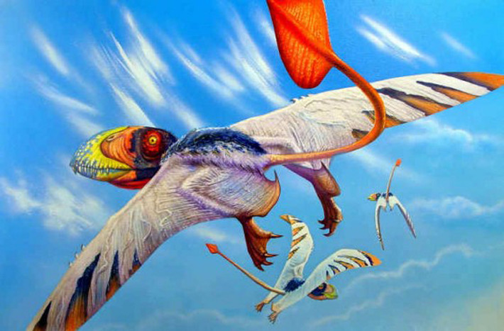 Dimorphodon là loại thằn lằn bay có kích cỡ trung bình. Nó sống ở thời kỳ đầu của kỷ Juric. Loài thằn lằn này có 2 loại răng trong hàm, điều vô cùng hiếm với các loại bò sát. Dimophodon cao 1m, với cổ nhỏ nhưng đầu to và có chiều dài sải cánh khoảng 1,4m. Chiếc đuôi của nó có tới 33 đốt xương.
