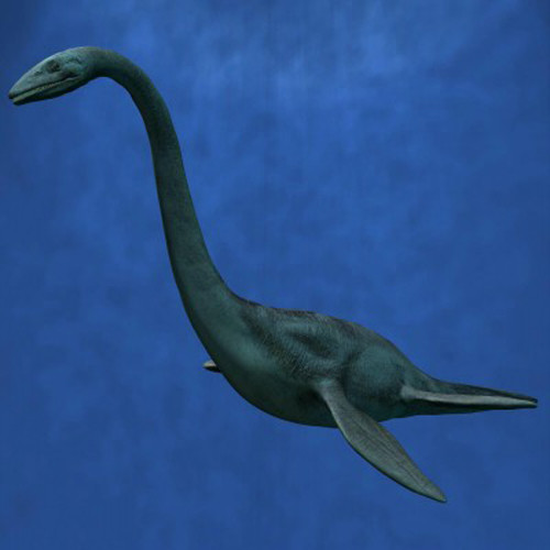Elasmosaur. Loài này sống ở kỷ phấn trắng muộn. Nó dài 14m và nặng hơn 2,2 tấn. Một nửa chiều dài cơ thể nó là cổ, với 70 chiếc đốt sống, nhiều hơn bất cứ một con vật nào hiện tồn tại trên Trái đất. Chiếc cổ dài có vai trò quan trọng trong việc sinh tồn của loài, do nó là phần cơ thể duy nhất có thể ngoi lên khỏi mặt nước. Cơ thể đồ sộ nhưng nó chỉ có 4 chân chèo khá nhỏ. Elasmosaur không có bất cứ liên hệ nào với các loài động vật đang sống hiện nay. Tuy nhiên, nhiều nhà khoa học cho rằng nó có thể có mối liên hệ với bò sát (nhiều người thì cho rằng loài này giống quái vật hồ Lochness).