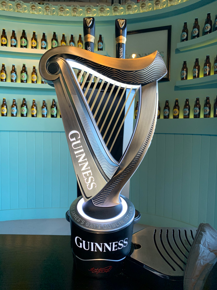 Đàn hạc là biểu tượng quốc gia Ireland. Từ thời cổ đại, đàn hạc đã chiếm vị trí quan trọng trong văn hóa Ireland. Tác phẩm điêu khắc gỗ thời xưa đã minh họa một bữa tiệc, trong đó có nghệ sĩ đàn hạc được tán dương.