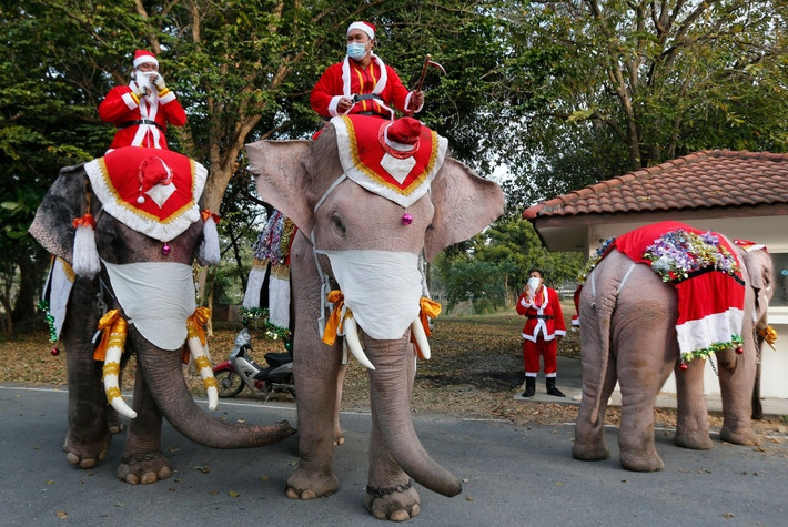 Thay vì tuần lộc như trong truyền thuyết, những ông già Noel ở Thái Lan lại cưỡi voi đi phát khẩu trang cho học sinh. Ảnh: Chaiwat Subprasom.