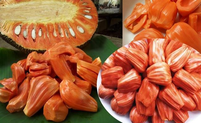 Mít ruột đỏ có nguồn gốc từ Thái Lan và mới được du nhập vào nước ta một vài năm gần đây. Khả năng thích nghi với điều kiện khí hậu nước ta của giống mít khá tốt. Cây ra trái to đều và chất lượng ổn định qua các năm.