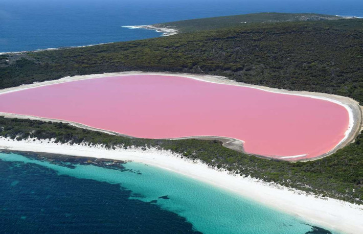 Hồ Hillier, Australia: Hồ nước màu hồng kỳ lạ này nằm ngay sát biển, tương phản hoàn toàn với màu xanh của đại dương. Vẻ đẹp siêu thực của hồ Hillier vẫn là một điều gì đó bí ẩn mà khoa học chưa giải thích được. Giả thuyết phổ biến nhất liên quan đến độ mặn cao của hồ.