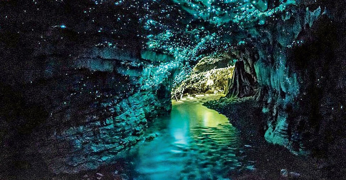 Hang động đom đóm Waitomo (New Zealand) có khả năng phát quang tự nhiên, gợi liên tưởng đến những dải ngân hà. Các bức tường, trần nhà được bao phủ bởi hàng nghìn con đom đóm màu xanh. Bên cạnh đó, ánh sáng huyền ảo hòa quyện với tiếng tí tách của những giọt nước, tạo thành một khung cảnh thần tiên dưới mặt đất. Du khách có thể tham quan hang bằng cách chèo thuyền. Ảnh: Tripadvisor.