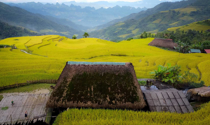 Sở dĩ những mái nhà nơi đây được phủ rêu bởi đặc thù địa hình núi cao, độ ẩm và mát mẻ quanh năm, mỗi tháng có tới trên dưới 20 ngày mưa nên tạo điều kiện rất thuận lợi để rêu tồn tại và phát triển. Ảnh: Nhóm Hà Giang Trẻ