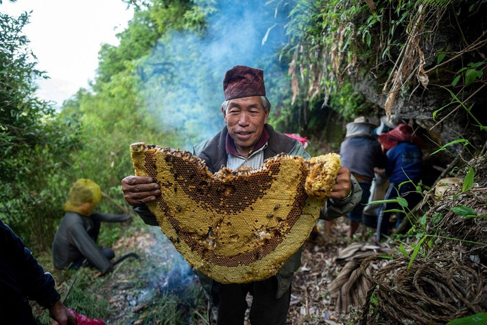 Purna Bahadur Gurung từng là một thợ săn mật ong từ năm 17 tuổi. Ông hiện tại trở thành trưởng nhóm săn mật ong sau cái chết của người thủ lĩnh trước. Mặc dù không còn trực tiếp tham gia vào vụ thu hoạch, ông vẫn đi cùng đội hàng năm để đào tạo các thành viên trẻ hơn. Với vai trò là người lãnh đạo và người có kinh nghiệm nhất trong nhóm, ông thực hiện nghi thức lễ thờ cúng puja, sử dụng kiến thức được truyền lại bởi thế hệ trước.