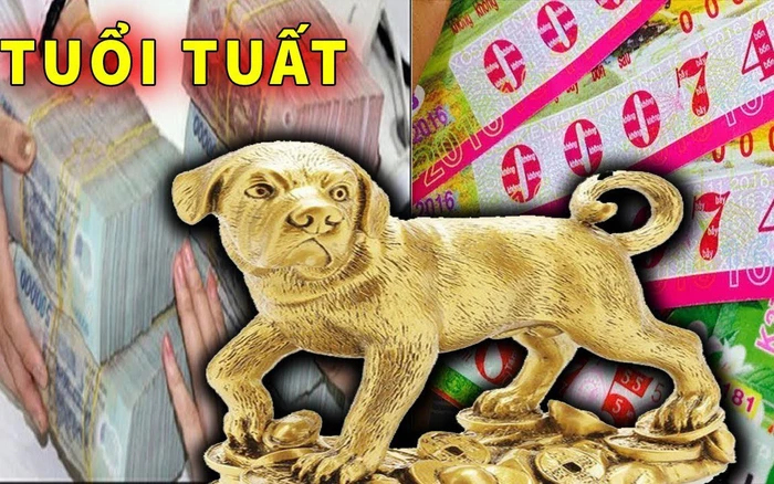Trong vòng 7 ngày tới, thời cơ của người tuổi Tuất sẽ đến. Họ nhận được nhiều cơ hội thăng tiến trong sự nghiệp. Họ sẽ gặp muôn vàn những điều may mắn, tốt lành. Những người làm công ăn lương có sự nghiệp hưng vượng.