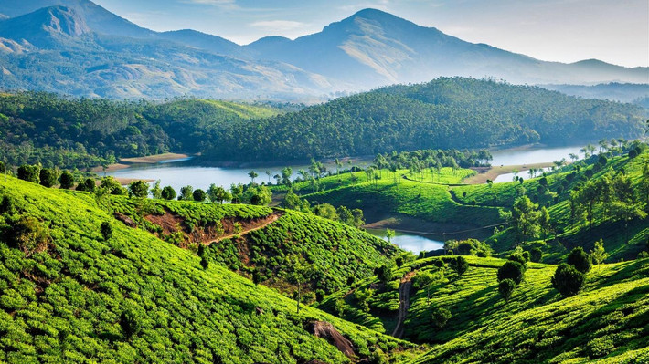 Munnar, Ấn Độ có tên trong top 10 điểm đến quyến rũ nhất châu Á: Khi đến thăm Munnar, bang Kerala, du khách sẽ được tham quan những đồn điền chè thường xanh nổi tiếng. Bạn có thể thoải mái chụp những bức ảnh với background tuyệt đẹp ở đây. Bên cạnh đó, thành phố cũng là nơi có công viên quốc gia Eravikulam, nơi có nhiều loài dê hoang dã khác nhau. Ảnh: Dmitry Rukhlenko/iStock.
