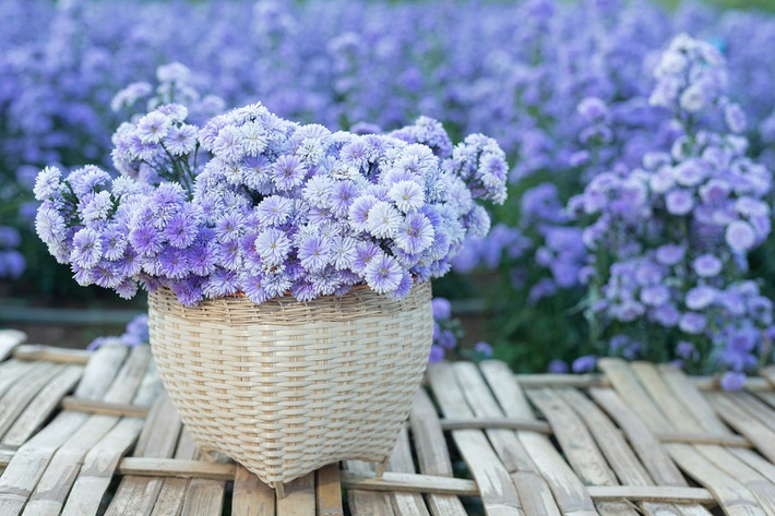 Đàn ông hay phụ nữ sinh vào ngày Âm lịch này đều có số mệnh giàu sang, phú quý. Đặc biệt, sau tuổi 35, sự nghiệp của họ có bước ngoặt lớn. Được trời xanh ban phước, họ kinh doanh phát tài, tích lũy được nhiều của cải, giúp đỡ nhiều người xung quanh mình.