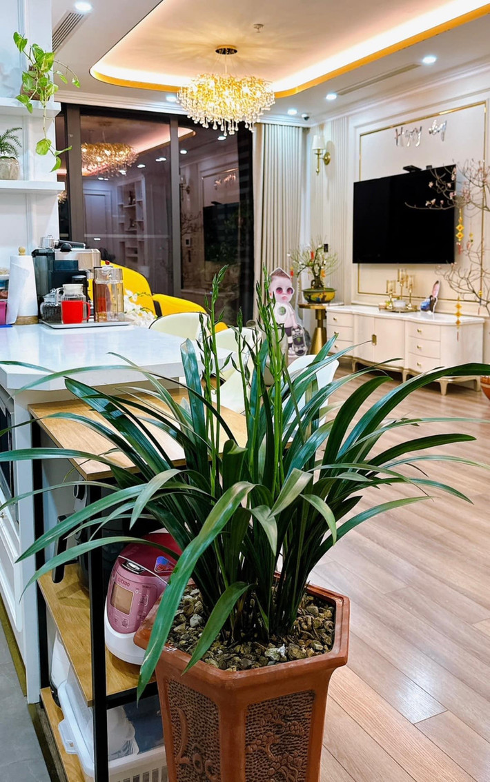 Đón Tết bên bạn gái và con trai thứ 4 tại Hà Nội, Bằng Kiều cho biết anh không phải sắm sửa nhiều vì được bạn bè tặng nhiều quà Tết.