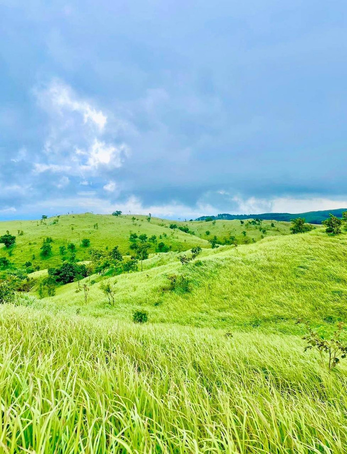 Thảo nguyên Pal Sol ở Đắk Lắk đang là một trong những điểm đến hấp dẫn trong mắt các tín đồ xê dịch đam mê trekking. Thảo nguyên nằm ở địa phận giáp ranh giữa 2 tỉnh Đắk Lắk và Gia Lai nhưng phần lớn thì thuộc Ea Hleo của Đắk Lắk. Nơi đây sở hữu một vẻ đẹp nên thơ và rất bình yên, là chốn mơ tuyệt vời để thả hồn thơ mộng theo những trảng cỏ xanh ngút ngàn trong lành, những con đường mòn nhỏ xinh hay những dãy núi hoang sơ kỳ diệu.