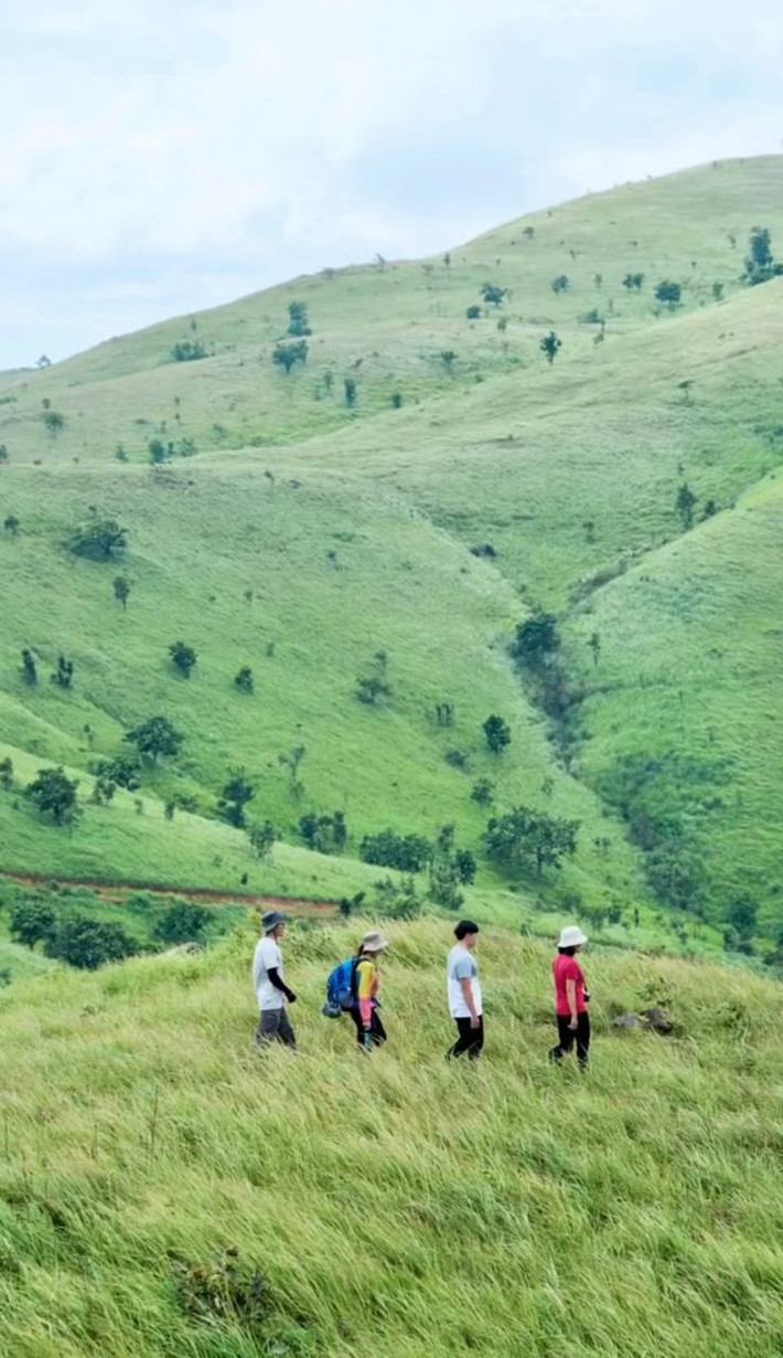 Gần đây, các thảo nguyên xanh mướt nổi lên như một điểm đến thú vị với cộng đồng du lịch. Nếu như ngoài miền Bắc dân tình rầm rộ với đỉnh Bình Hương hoang sơ hay thảo nguyên Suôi Thầu mộng mơ, thì thảo nguyên Pal sol xanh ngát tại vùng đất đầy nắng lại hớp hồn hội mê xê dịch miền Nam ngay từ cái nhìn đầu tiên.