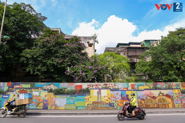 Dù không nổi bật, rực rỡ như hoa phượng vĩ, loài hoa mỏng manh đã hòa cùng hơi thở, nhịp sống người dân Thủ đô.