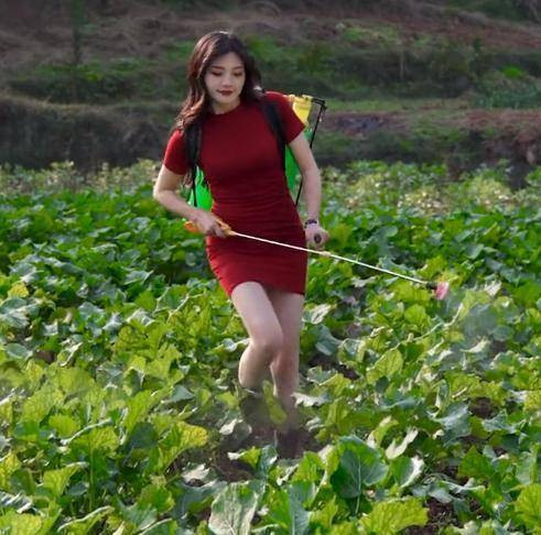 "Trang phục thế này phù hợp chụp ảnh khoe dáng, đi chơi, đi sự kiện,... chứ mặc như thế này đi làm thì hơi quá rồi đó. Đồng ruộng đâu phải là sân khấu thời trang để bạn trình diễn", một bình luận của dân mạng dưới bài đăng trên trang Sohu.