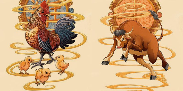 Sửu và Dậu ở bên nhau thì gia đình trong ngoài đều hòa thuận, hạnh phúc đề huề, ít cãi vã, giàu có chỉ là vấn đề thời gian.