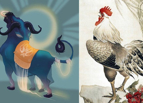 Cặp Sửu -Dậu. Là 2 con giáp rất khác nhau, tưởng như chẳng có gì hòa hợp, thế nhưng, Sửu và Dậu lại là một cặp đôi tuyệt vời, biết bổ sung cho nhau những thiếu khuyết trong cuộc sống.