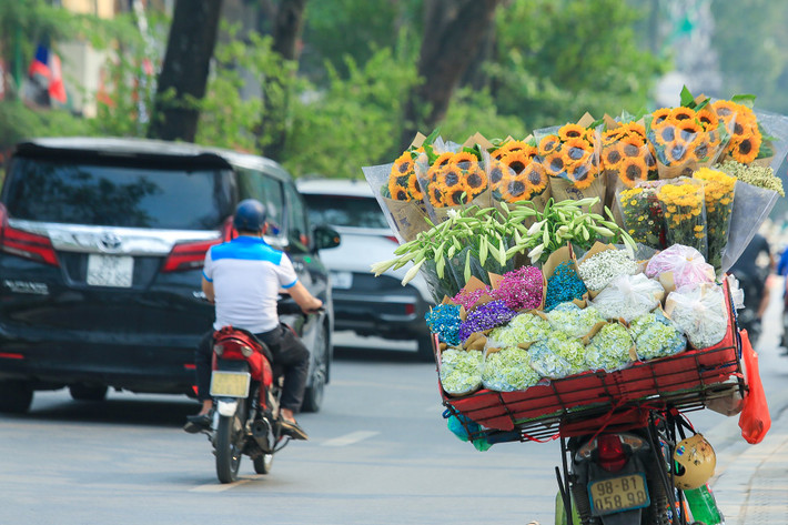 Những ngày tháng 4 này, tại Hà Nội, dọc các con phố như: Thụy Khuê, Phan Đình Phùng, Láng Hạ, Thanh Niên, Giảng Võ... vào thời điểm này, không khó để bắt gặp những chiếc xe đạp chở đầy hoa loa kèn đầu mùa, tràn đầy sức sống.