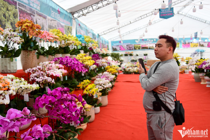 Là một người thích chơi lan, năm nào anh Vương (quận Thanh Xuân) cũng đều mua loài hoa này về bày và đem biếu, tặng người thân, bạn bè, đồng nghiệp. "Lan năm nay mẫu mã ít so với mọi năm nhưng giá cả khá bình ổn. Mỗi năm, tôi đều chi gần 100 triệu để mua hoa chơi Tết", anh nói.
