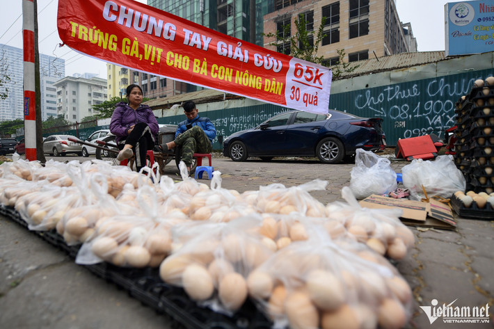 "Nhà cháu tôi đang chăn nuôi gà, vịt đẻ hơn 2,5 vạn con. Mỗi ngày cả vịt, gà đẻ ra hàng nghìn quả trứng, thị trường thì tiêu thụ chậm. Được dịp, thương lái ép giá xuống gần 1.800 đồng, vì thế tôi đành phải ngồi bán ở vỉa hè, còn trứng vẫn là loại 1", bà Phông (huyện Thanh Oai), khẳng định. Trong ảnh, điểm bán trứng trên đường Phạm Hùng (quận Nam Từ Liêm).