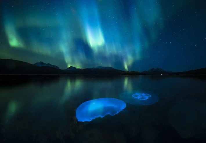 Tên tác phẩm: Thạch Aurora. Tác giả: Audun Rikardsen