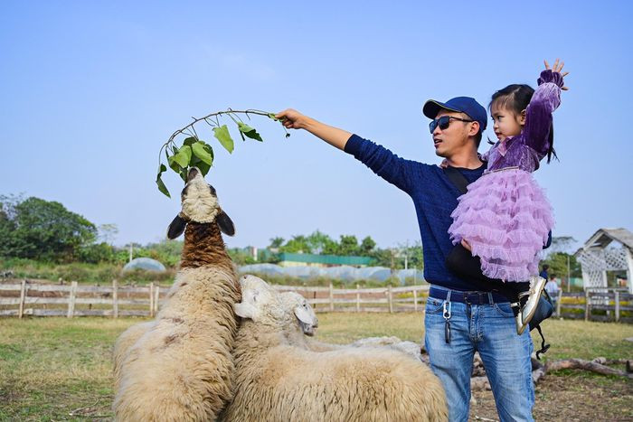 br/> "Tôi lựa chọn địa điểm này cho kỳ nghỉ lễ bởi có không gian ngoài trời rộng lớn, mỗi nhóm người tập trung một chỗ khác nhau nên tránh được sự đông đúc, chen lấn", anh Thế Anh (38 tuổi) chia sẻ.