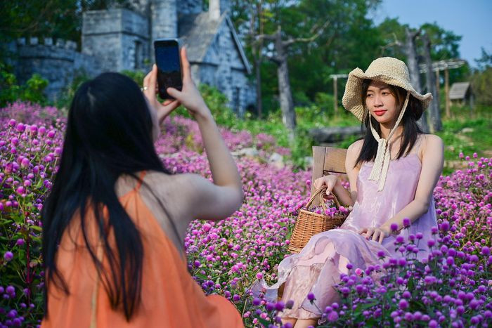 br/> Vẻ đẹp tinh khôi của hoa anh thảo phù hợp với những bộ ảnh màu sắc. Phương Linh (22 tuổi) cùng bạn tranh thủ đến chụp những bức ảnh ưng ý. Đây là lần đầu cô đến địa điểm này.