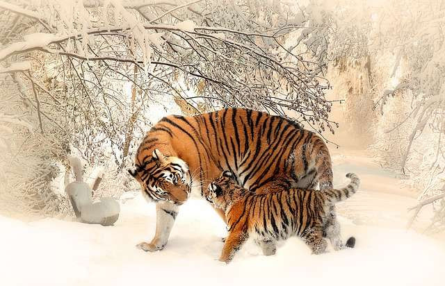 Trong thời gian 3 này, nhờ sợi dây tình cảm giữa hai bạn ngày càng bền chặt, khăng khít, mối quan hệ có thể có những bước tiến mới vui vẻ.