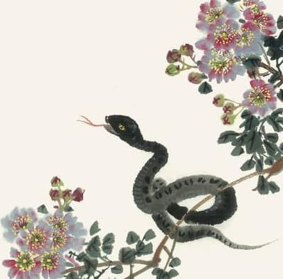 Không những vậy, những người tuổi Tỵ độc thân sẽ thành công thoát khỏi cảnh độc thân, có nhiều người cầu hôn vây quanh, cuộc sống hòa thuận.