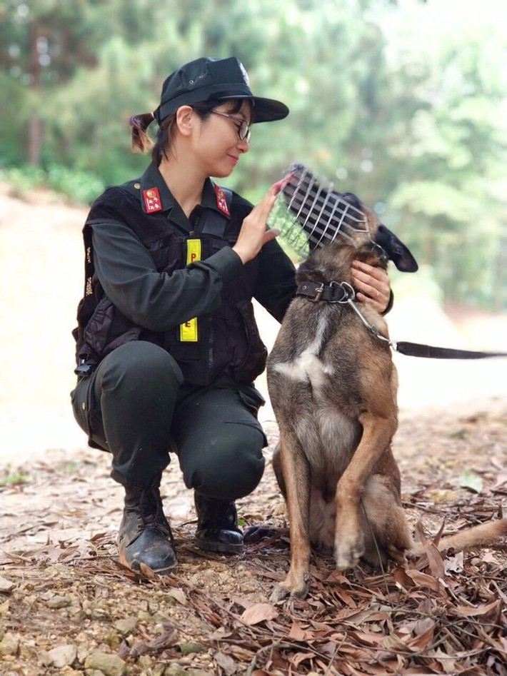 Bản thân giống chó Bergie cũng có thể hình khá to lớn. So với thể hình của người Á Đông, giống chó châu Âu này càng tỏ ra "đồ sộ". Nguồn ảnh: Danviet.