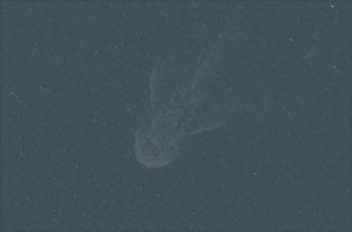 Apple Maps làm quái vật hồ Lochness lộ diện? Câu lạc bộ những người yêu thích Quái vật hồ Lochness khá choáng vàng khi thấy một sinh vật bí ẩn dài khoảng 30m xuất hiện. Tuy nhiên điều khiến người ta ngạc nhiên hơn là sinh vật kỳ bí này chỉ được nhìn thấy trên sơ đồ của Apple.