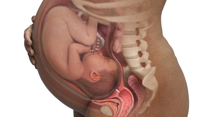 Lợi ích đầu tiên của việc đẻ đứng là giúp bà bầu có thể tận dụng được sức nặng của em bé để bé có thể hỗ trợ mẹ trong việc tự "rơi" ra ngoài mà không tốn công rặn đẻ như phương pháp đẻ nằm.