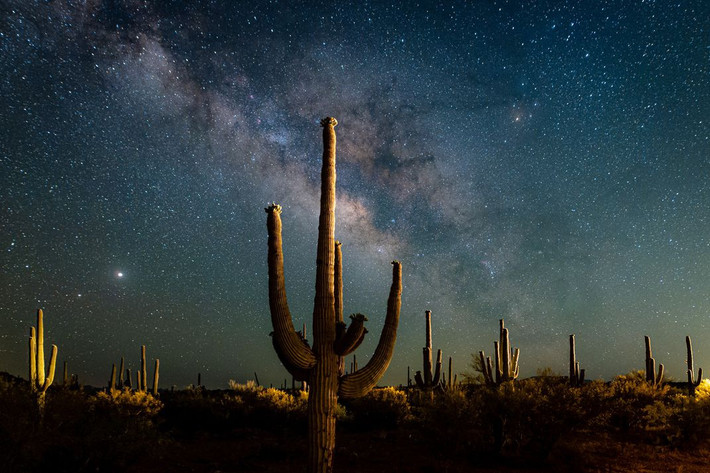 Dải ngân hà trên bầu trời ngoại ô San Manuel (Arizona, Mỹ) của tác giả Lynsey Schroeder thắng hạng mục "Trải nghiệm nước Mỹ". Đây là khu vực ít bị ảnh hưởng của ô nhiễm ánh sáng nên rất thích hợp cho những tay "săn ngân hà". Tác giả cho biết trong thời gian đứng đây, chỉ vài lần, sự tĩnh lặng bị phá vỡ bởi tiếng xe chạy qua. Ánh đèn xe rọi sáng những cây xương rồng saguaro khổng lồ.