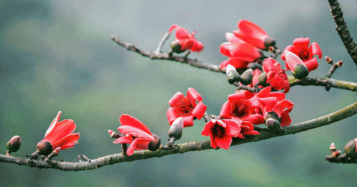 Trong cuộc sống, họ cũng không thiếu các quý nhân giúp đỡ. Họ có lòng tốt giúp đỡ mọi người và nhận về nhiều phước lành. Chỉ cần họ gặp khó khăn là nhất định có người xuất hiện giúp đỡ, không để họ rơi vào bế tắc, cùng cực. Tương lai, người sinh tháng 3 Âm lịch sẽ có cuộc sống hạnh phúc, no ấm.