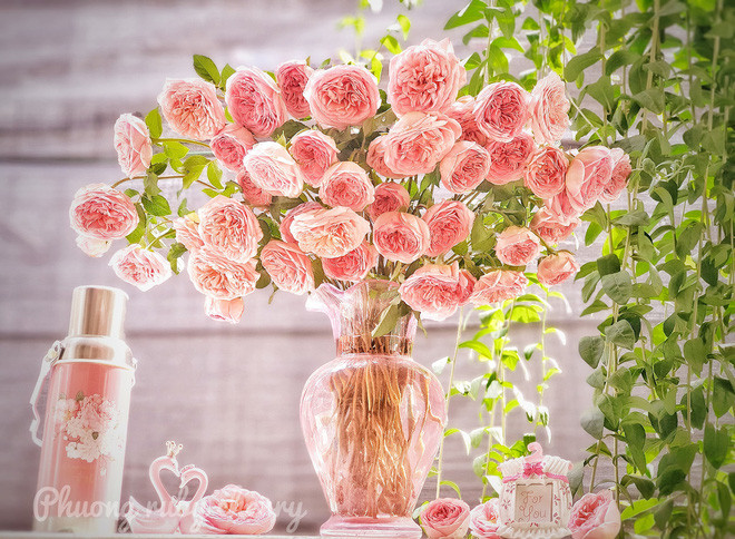 Với những người sinh vào tháng Âm lịch này, họ có tính cách lạc quan, tốt bụng, không bao giờ có ý nghĩ xấu, không muốn lợi dụng người khác. Nhờ đó, cuộc sống của họ cũng luôn may mắn, không dễ gặp xui xẻo, đường đời hanh thông, sự nghiệp thăng tiến.