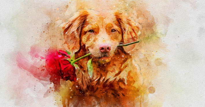 Về mặt tài chính, tuổi Tuất sẽ có những bước tiến mạnh mẽ. Sự giàu có không chỉ đến từ thành công trong công việc mà còn từ việc đón nhận những tin vui từ gia đình và người thân, như chức vụ mới hoặc tin vui từ con cái.