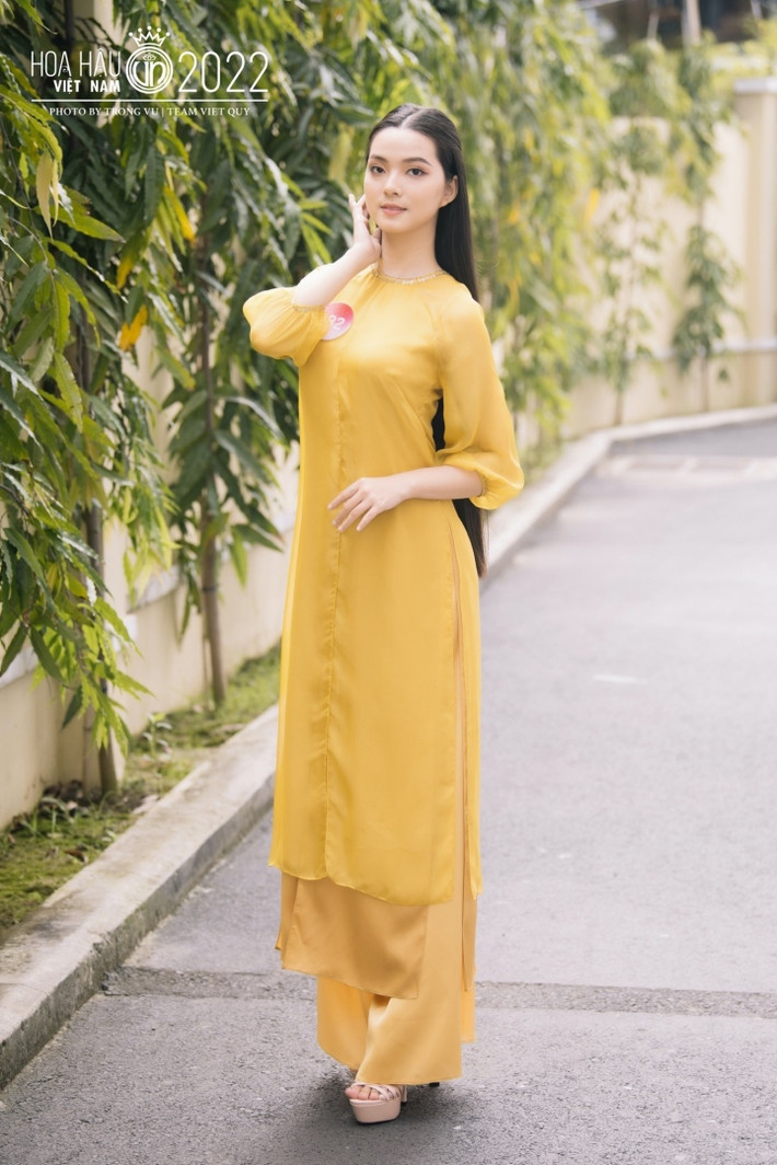 Tuy nhiên thời điểm đó vì một số lý do, cô đành tạm gác lại kế hoạch này.