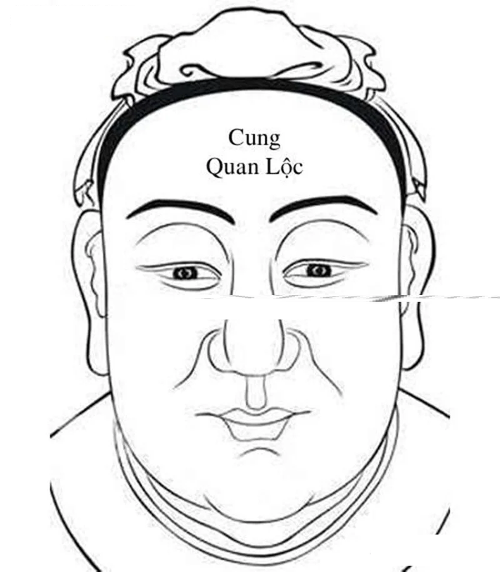 Người trên cung Quan Lộc có một cái bớt đen hoặc nốt ruồi đen, sẹo sẽ phá huỷ vận may của người đó. Dù tài ba đến mấy, siêng năng chăm chỉ làm ăn ra sao, cũng khó lòng khấm khá.