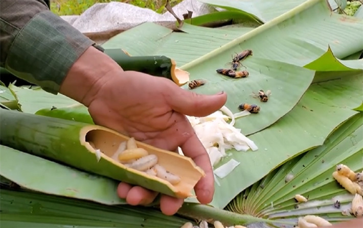 Theo kinh nghiệm dân gian thì ong đất ngâm rượu dùng để xoa bóp, chữa thấp khớp, cảm, gió